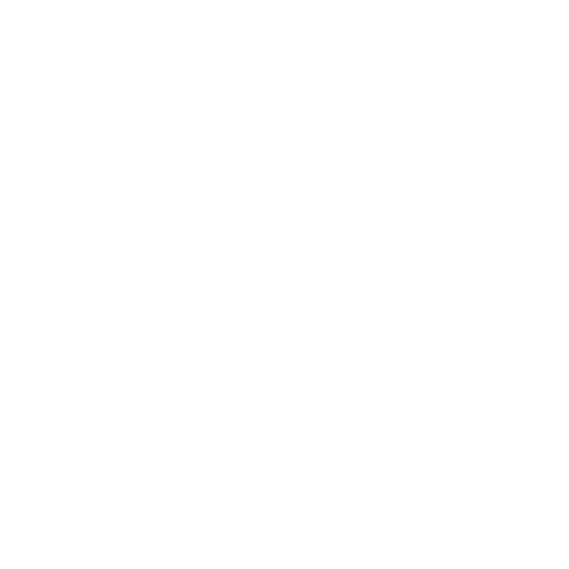 Neto Capital